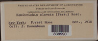 Image Associated With the Occurence